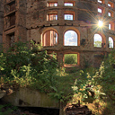 Stacks Image 72